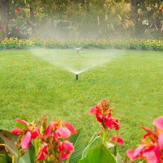 Best Time to Water My Lawn in Watertown NY – Lawn-Care Secrets