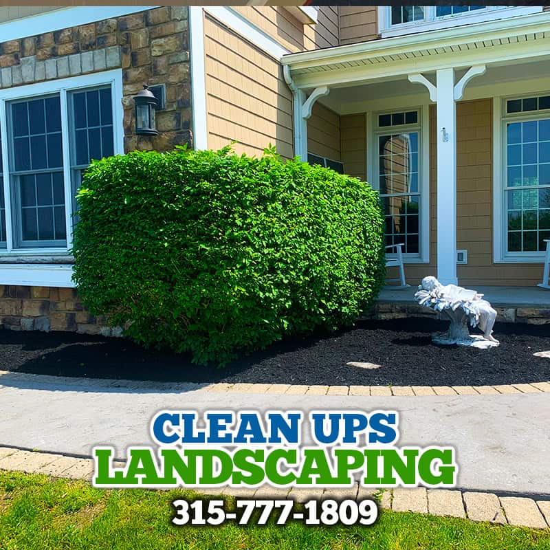 Landscaping Watertown New York